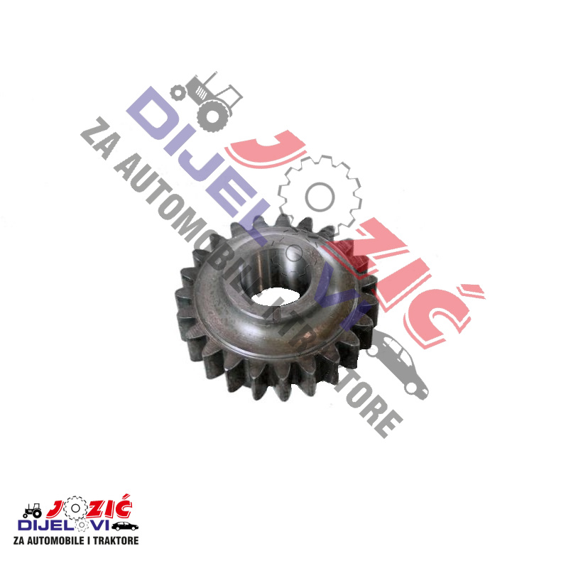 Daisy on the Ohoopee